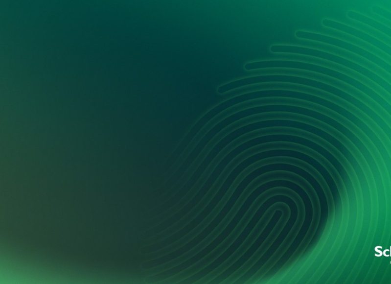 Image – Schneider Electric reports solid first half-year results under new sustainability roadmap, Impact 2030